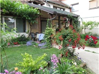 b6a8b5c2-Picture 802.jpg